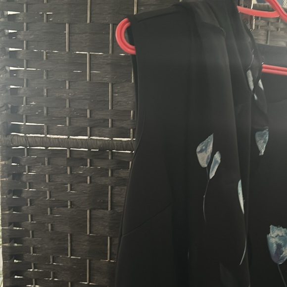 Dress - Picture 3 of 9